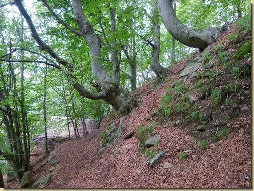 arrivo all'Alpe Graglia...