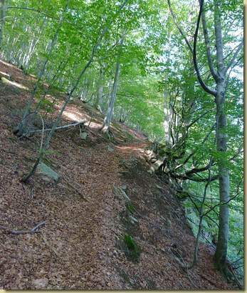 sul sentiero per l'Erta...