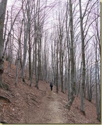 sul sentiero verso Corte Giovanoli...