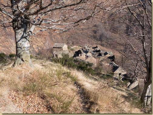 scendendo verso Scogno...