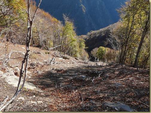 tracce del passaggio delle slavine... 