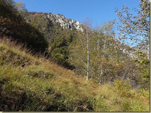 in alto la dorsale di Cima Selva 