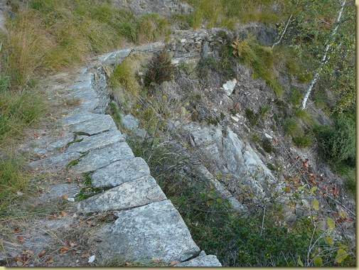  sulla mulattiera per Cima Selva