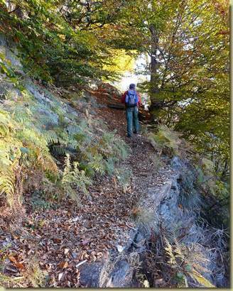 sulla mulattiera per Cima Selva... 