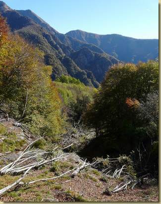 tracce del passaggio delle slavine... 