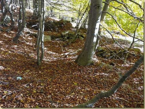 Alpe Fologarolo...