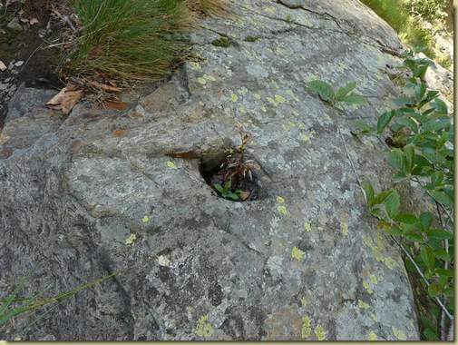 segni del passato...