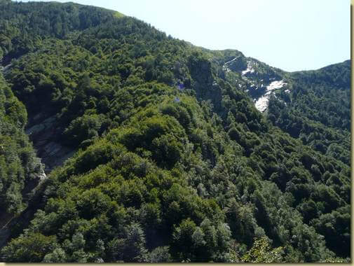 a destra il bosco di Selvasecca, a sinistra il canale che scende dalla Punta Pozzolo 