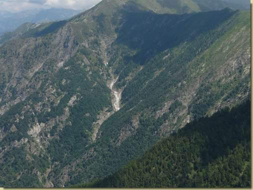 al centro il canale che scende dalla Punta Pozzolo, in basso il bosco dell'Alpe Selvasecca 