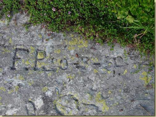 presso l'Alpe Ogliana...