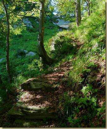 sul sentiero per Pianz&agrave;...