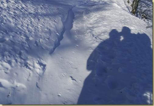 tracce sulla neve...