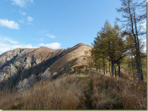 alla Colma di Cossogno, sullo sfondo il Pizzo Pernice...