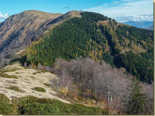 ultimi colori dell'autunno...