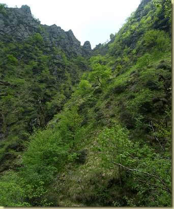 sul versante est del Torrione di Bettola...