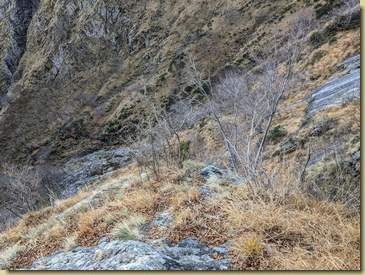 più in basso si vede che (in apparenza, non verificato...) si potrebbe scendere in Val Foiera...