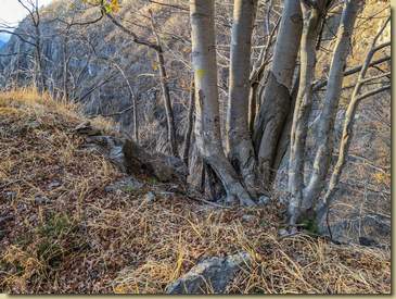 il segno di vernice gialla indica il punto in cui scende nel Vallone di Bettola il "sentiero" del Casin...