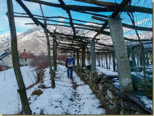 tra i vigneti...
