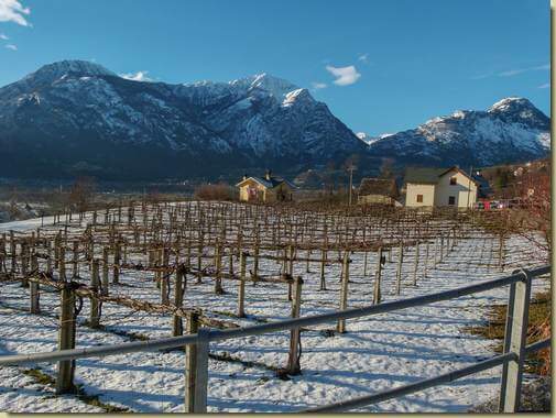 vigneti...