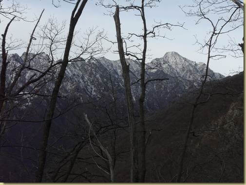 vista verso il Lesino...