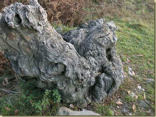 scultura naturale...