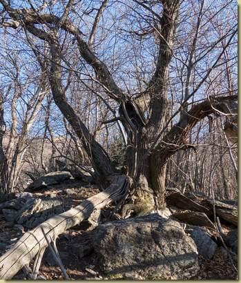 salendo la dorsale verso Ucciascia...