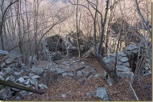 Alpe Ucciascia invasa dal bosco...