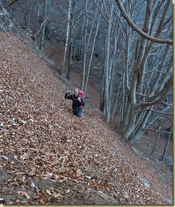 accumuli di foglie...