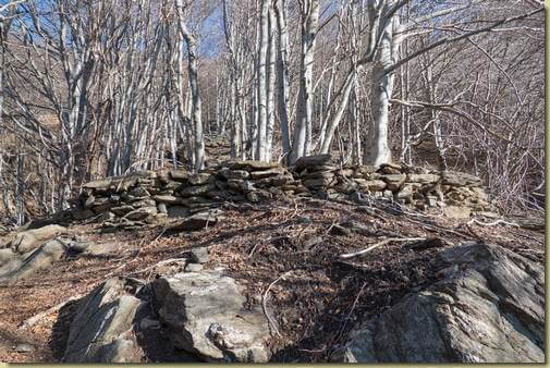 carbonera sulla dorsale...