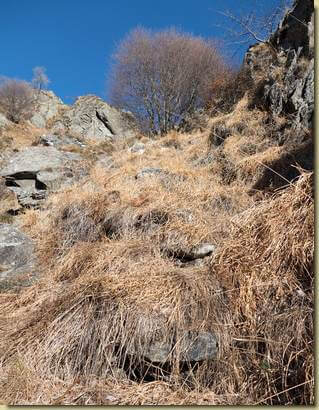 gradini nascosti nell'erba...