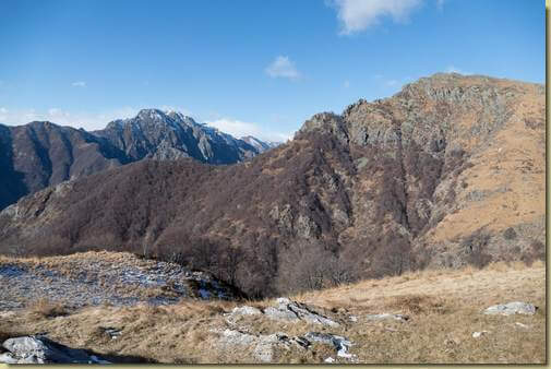 al centro, il bosco di Corte del Bosco...