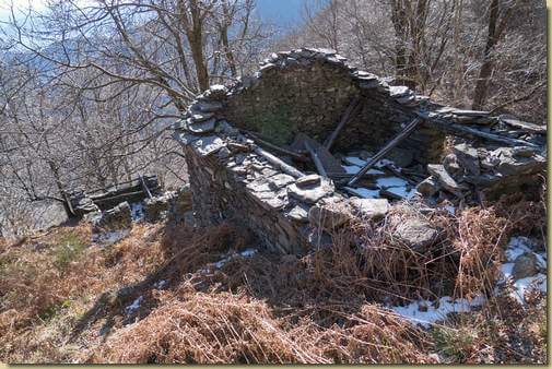 a Corte del Bosco...