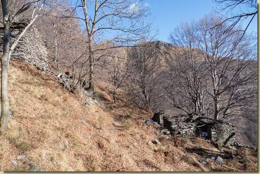 a Corte del Bosco...