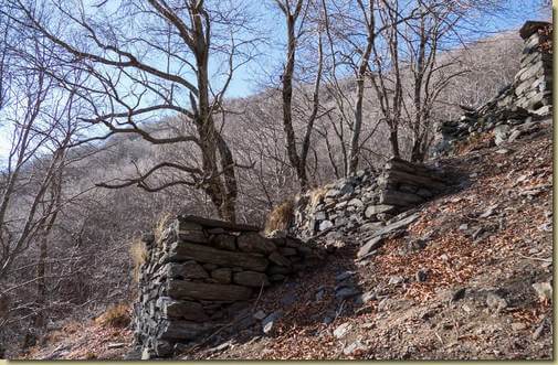 a Corte del Bosco...