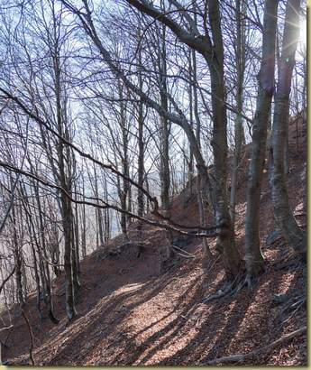 sul sentiero che scende a Velina...