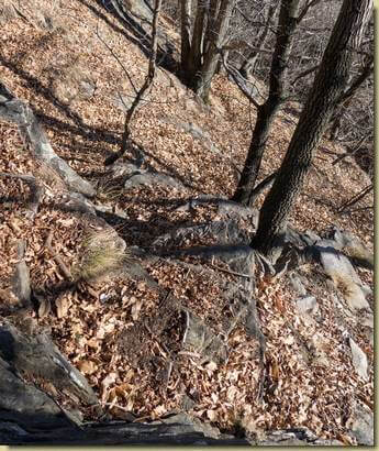 bel tornante lastricato...