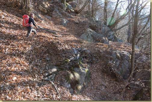 accumulo di foglie sul sentiero...