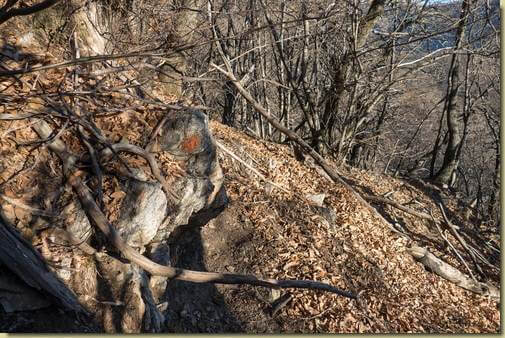 vecchi segni di vernice lungo il percorso di discesa...