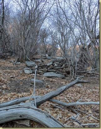 resti d terrazzamenti...