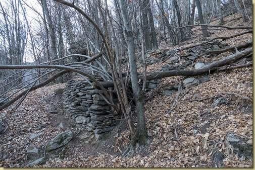 terrazzamenti sopra Montuzzo...
