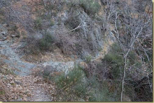 sul sentiero "ufficiale"...