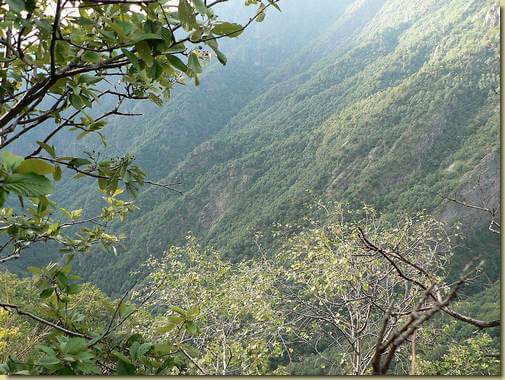 la Val Balm Bert dalla Cima Loviga