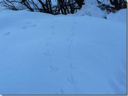 tracce... 
