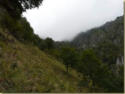 verso la cresta...  