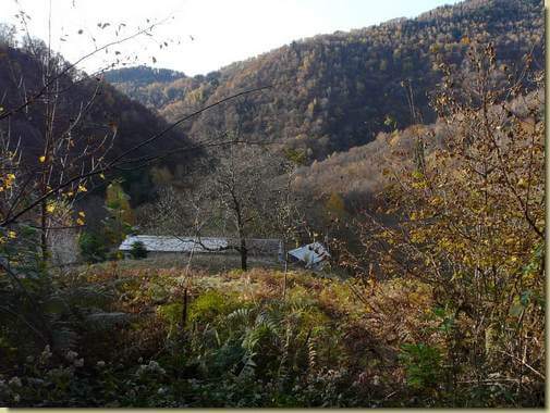 all'Alpe Agricola...