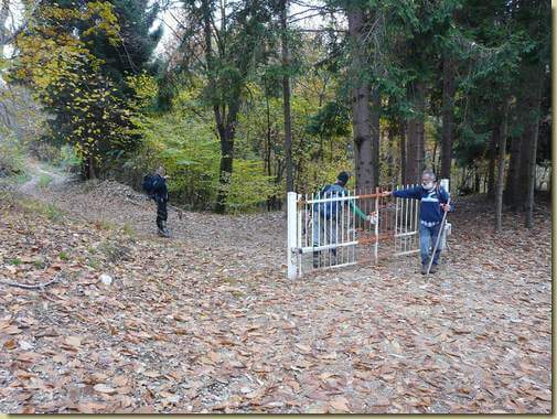 cancello nel bosco...