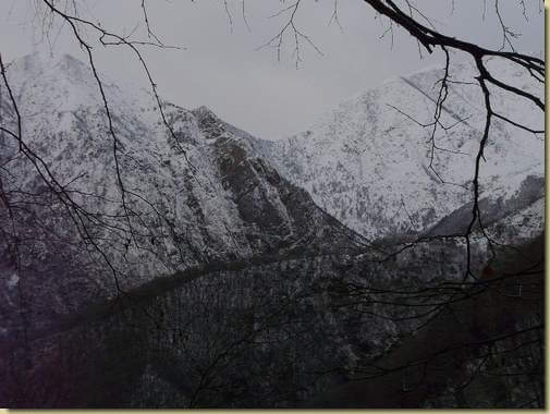 il Colle della Forcola