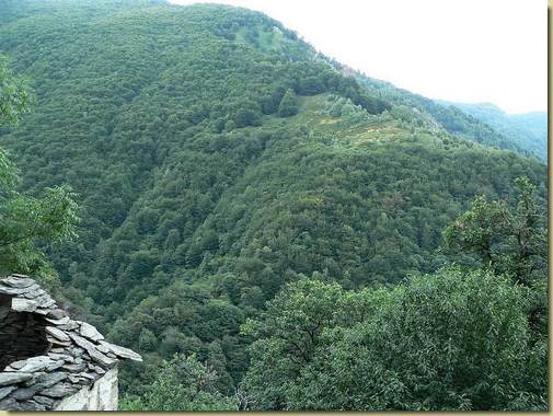vista verso il prato di Varola