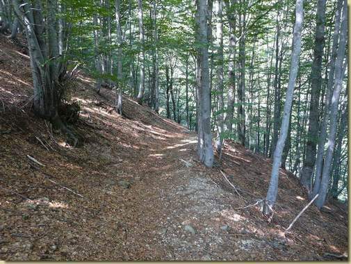 sul sentiero che scende da Chiarone... 