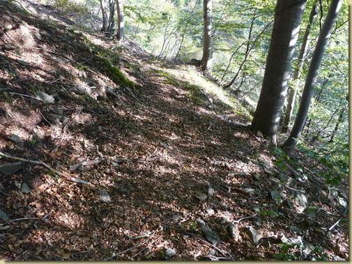 il sentiero che scende dall'Alpe Mut 